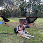 Review photo of Potts Preserve - River Primitive Campground (North Hooty Point Road) by Anthony E., April 20, 2021