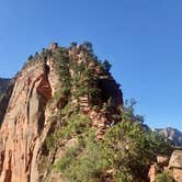 Review photo of Sheep Bridge BLM Area (Hurricane Cliffs Trail System) - Utah by Kelsey L., June 1, 2018