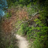 Review photo of Dinosaur Valley State Park — Dinosaur Valley State Park by Jessica M., April 20, 2021