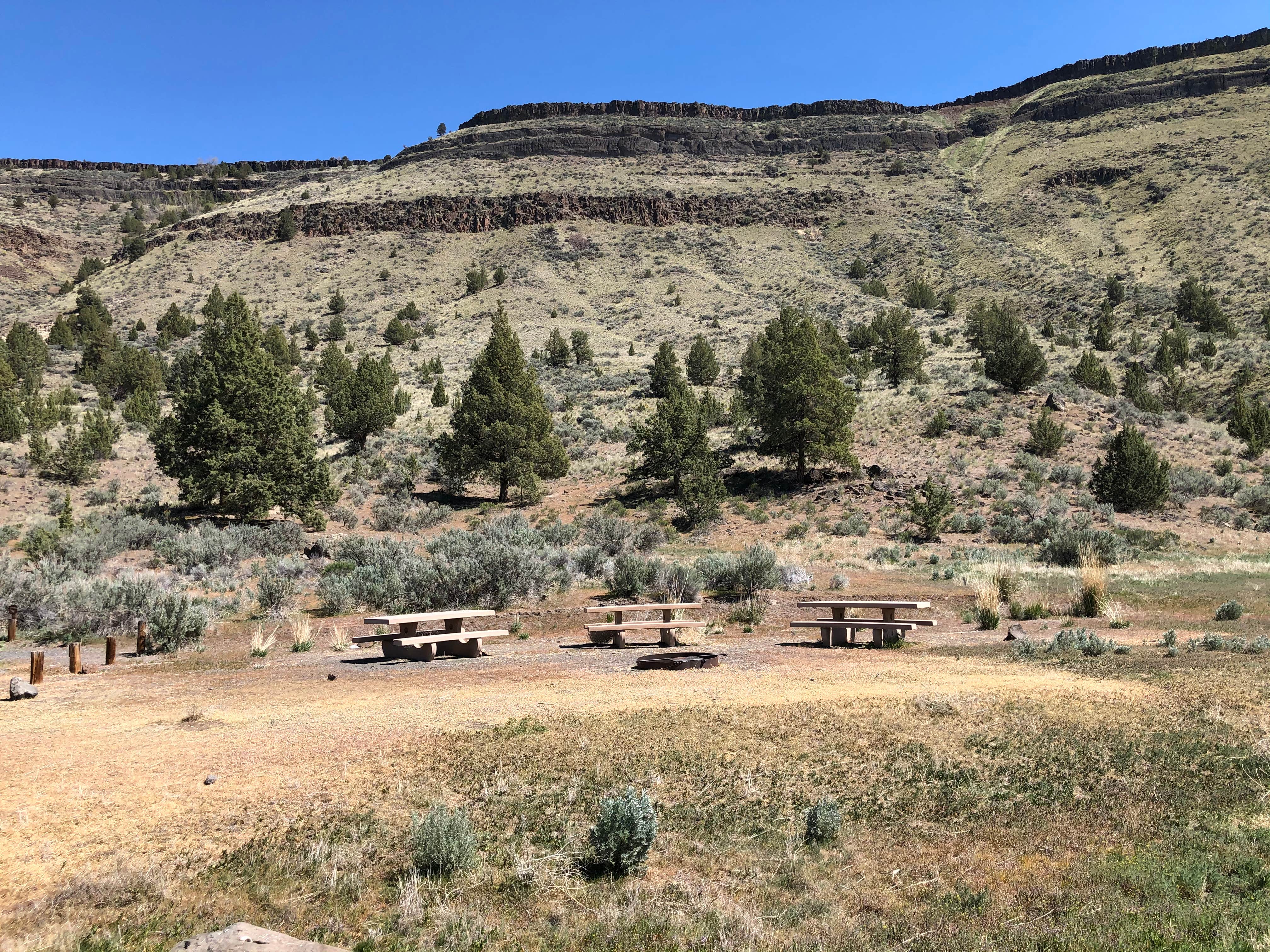 Pelton Park Campground The Dyrt