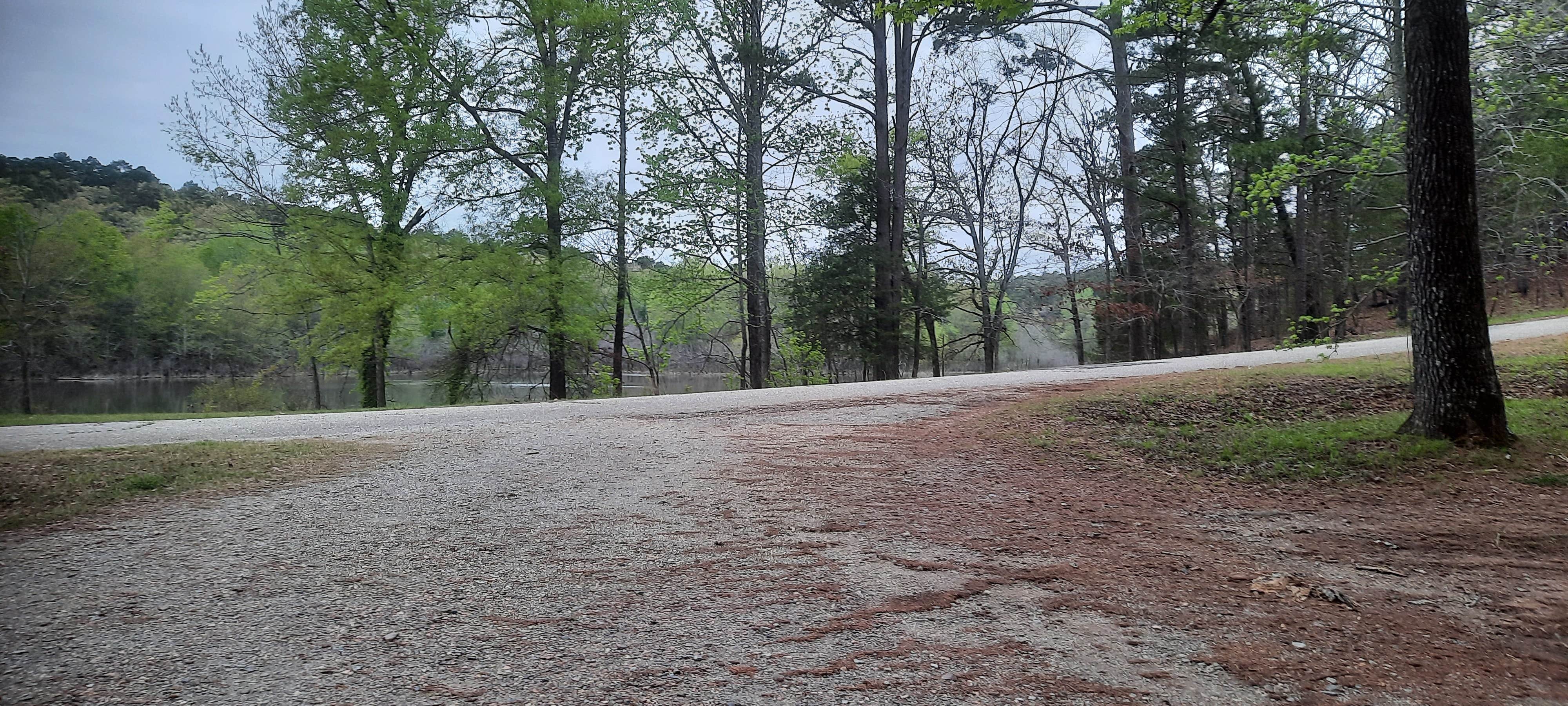 Irons Fork Primitive Camping The Dyrt