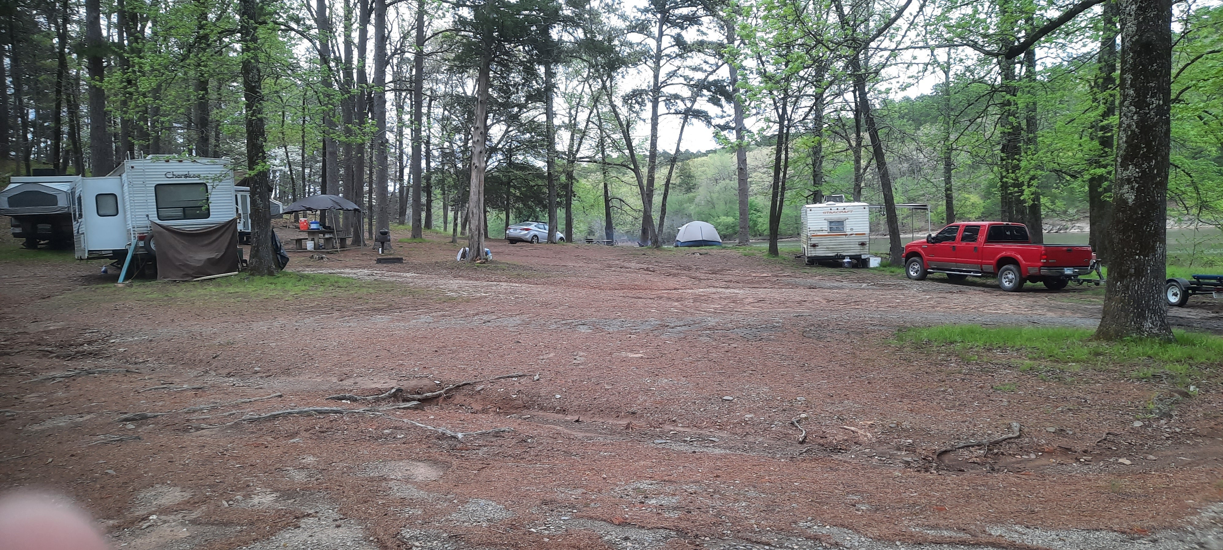 Camper submitted image from Irons Fork Primitive Camping - 3