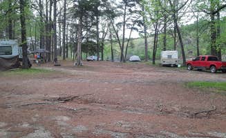 The P.'s photo at Irons Fork Primitive Camping in Arkansas