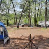 Review photo of Irons Fork Primitive Camping by The P., April 21, 2021