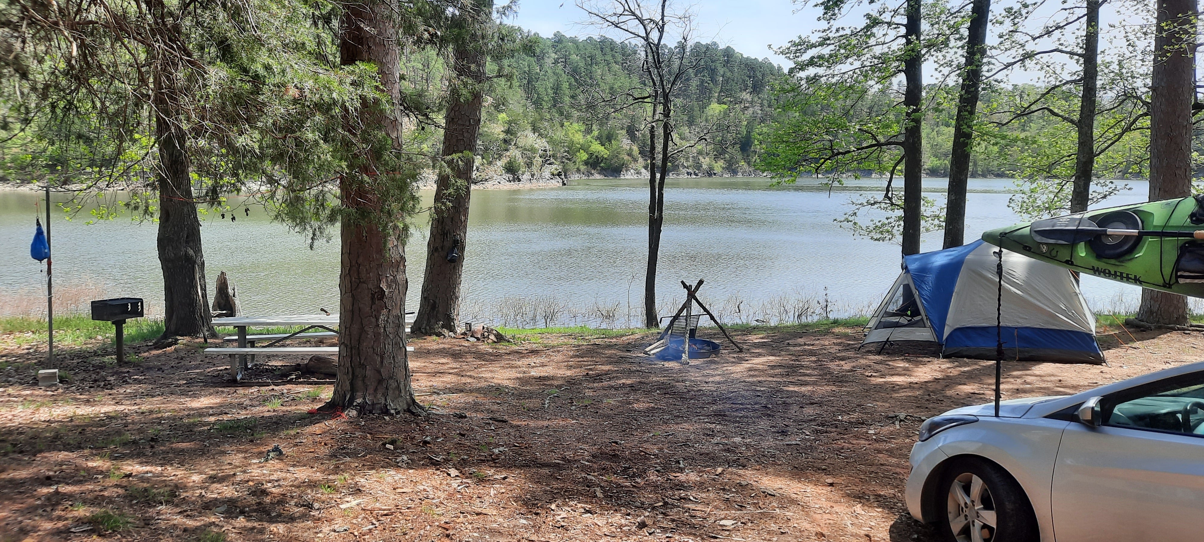 Camper submitted image from Irons Fork Primitive Camping - 2
