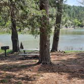 Review photo of Irons Fork Primitive Camping by The P., April 21, 2021