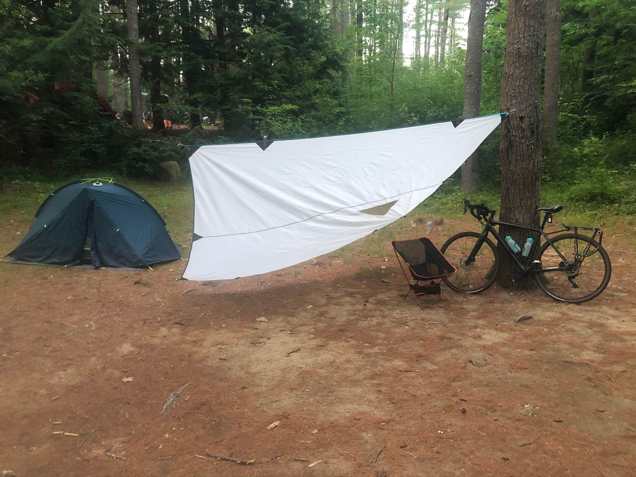 Jamal C.'s photo at Otter River State Forest near Petersham, MA