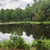 Review photo of Otter River State Forest by Jamal C., April 21, 2021