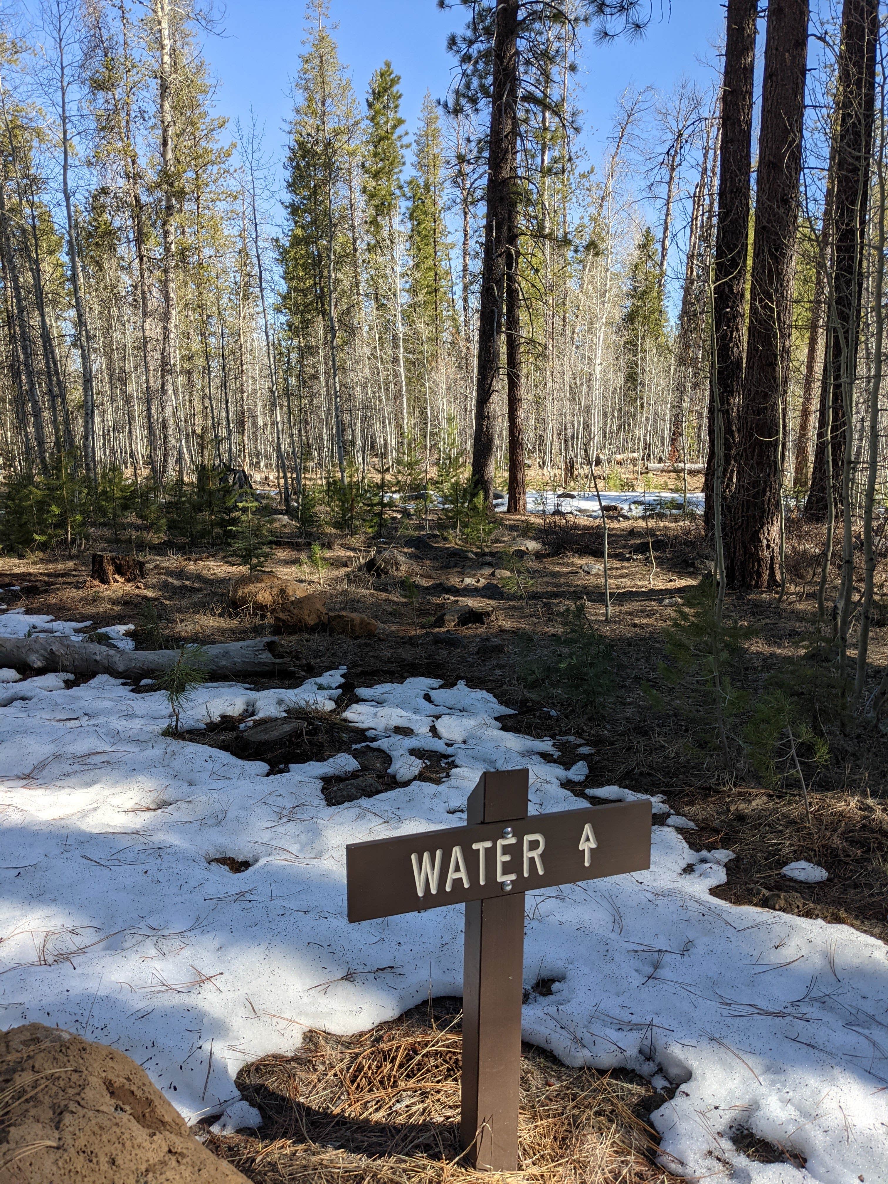 Camper submitted image from Bogard Campground - 2