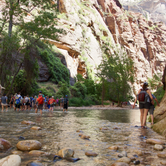 Review photo of Sheep Bridge BLM Area (Hurricane Cliffs Trail System) - Utah by Kelsey L., June 1, 2018