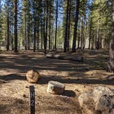 Review photo of Bogard Campground by Laura M., April 21, 2021