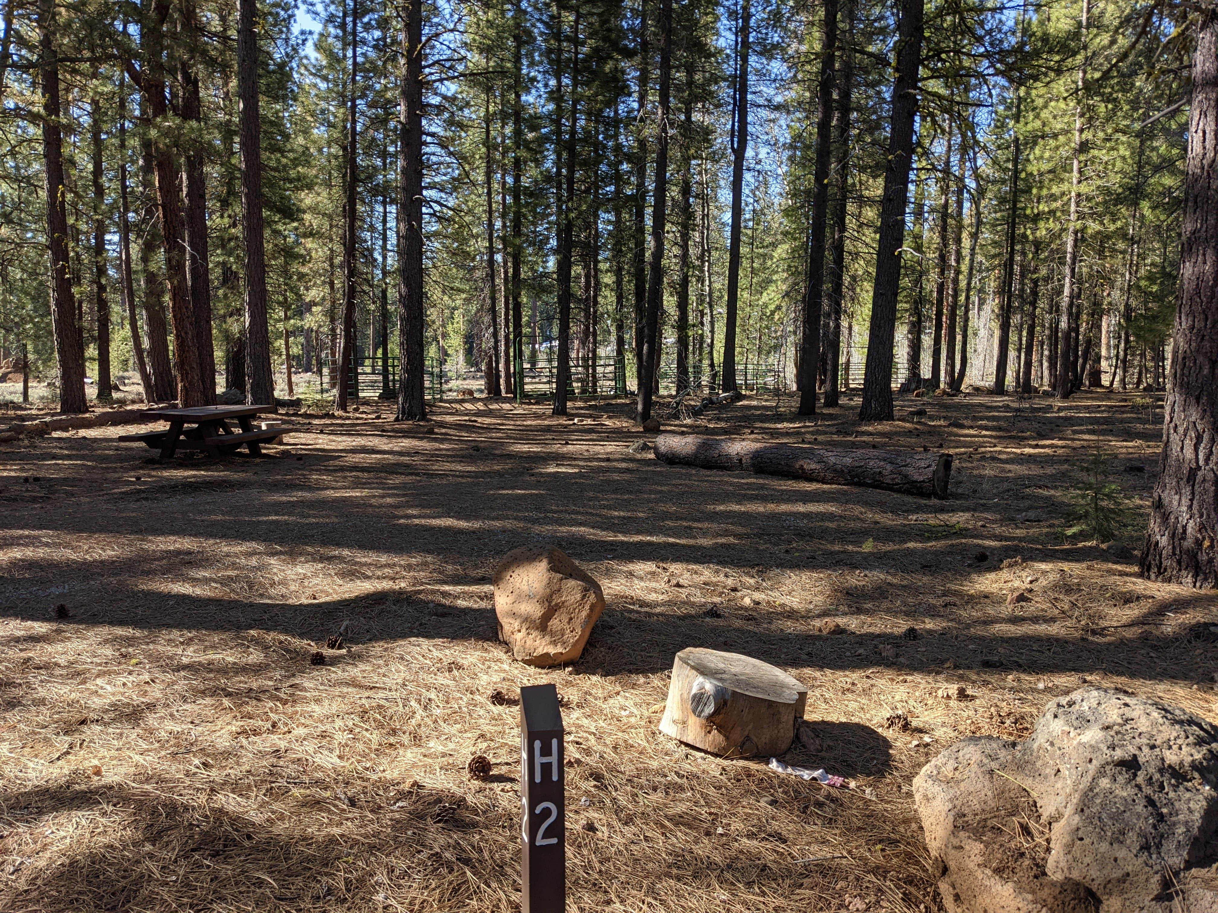 Camper submitted image from Bogard Campground - 5