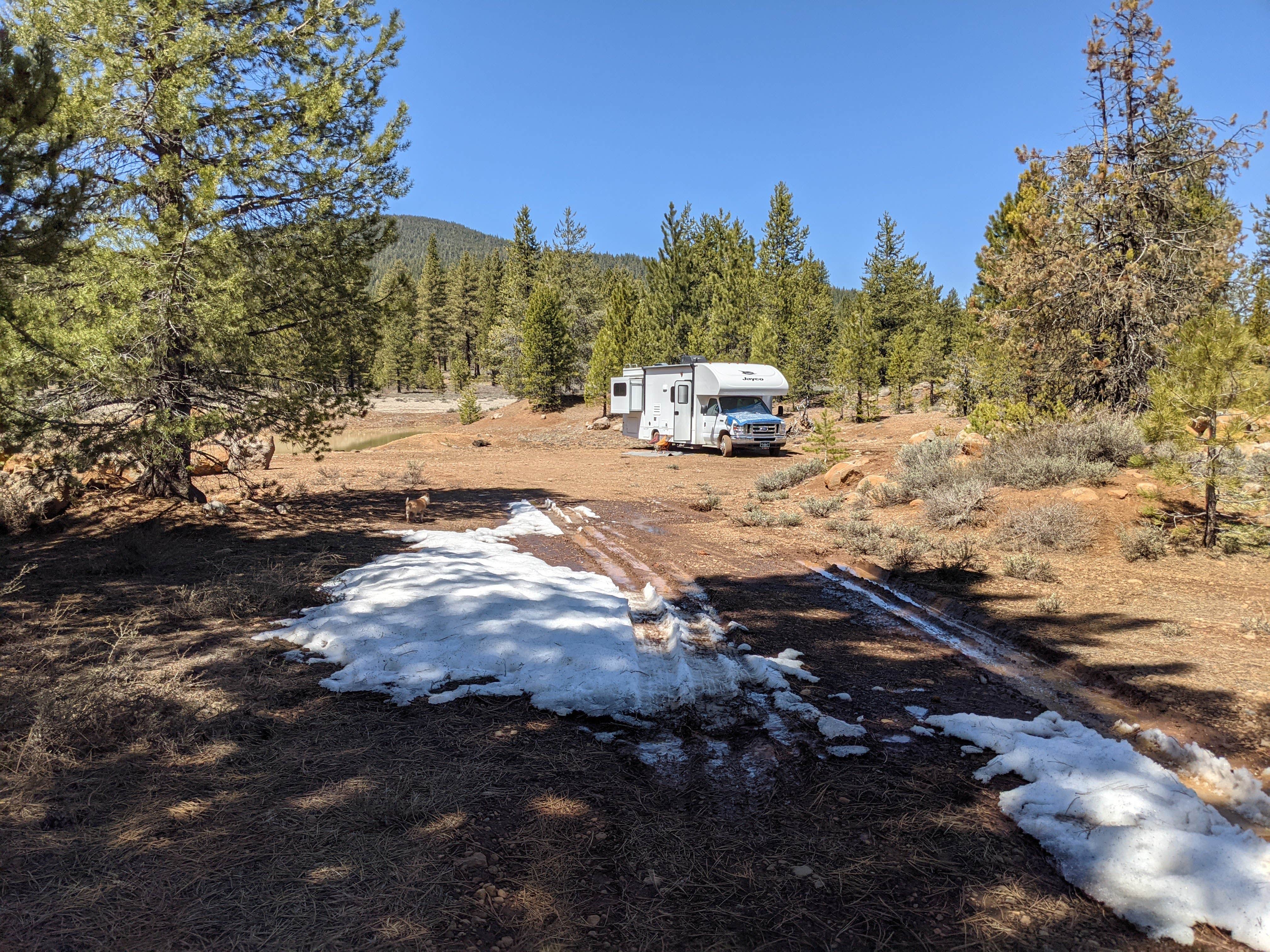 Camper-submitted photo at Bogard USFS Dispersed near Lassen National Forest