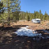 Review photo of Bogard USFS Dispersed by Laura M., April 21, 2021