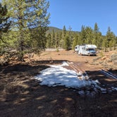 Review photo of Bogard USFS Dispersed by Laura M., April 21, 2021