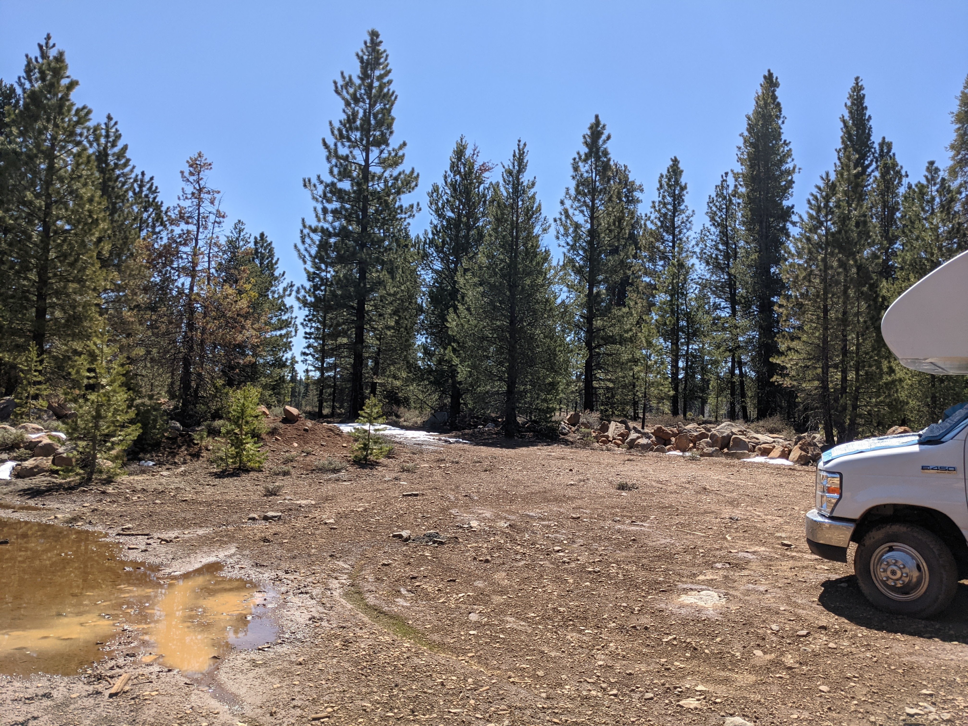 Camper submitted image from Bogard USFS Dispersed - 3