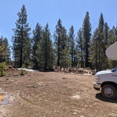 Review photo of Bogard USFS Dispersed by Laura M., April 21, 2021