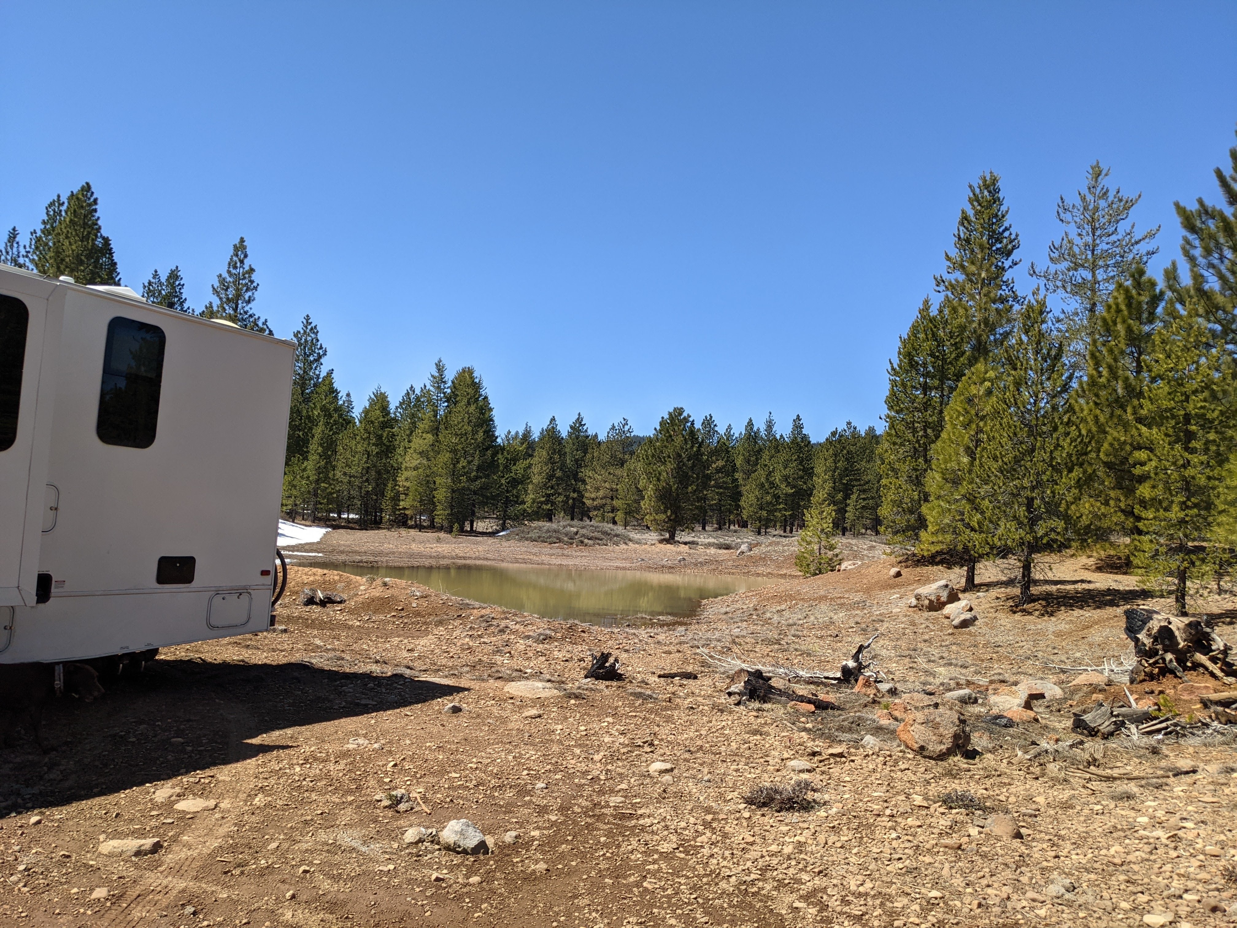 Camper submitted image from Bogard USFS Dispersed - 2