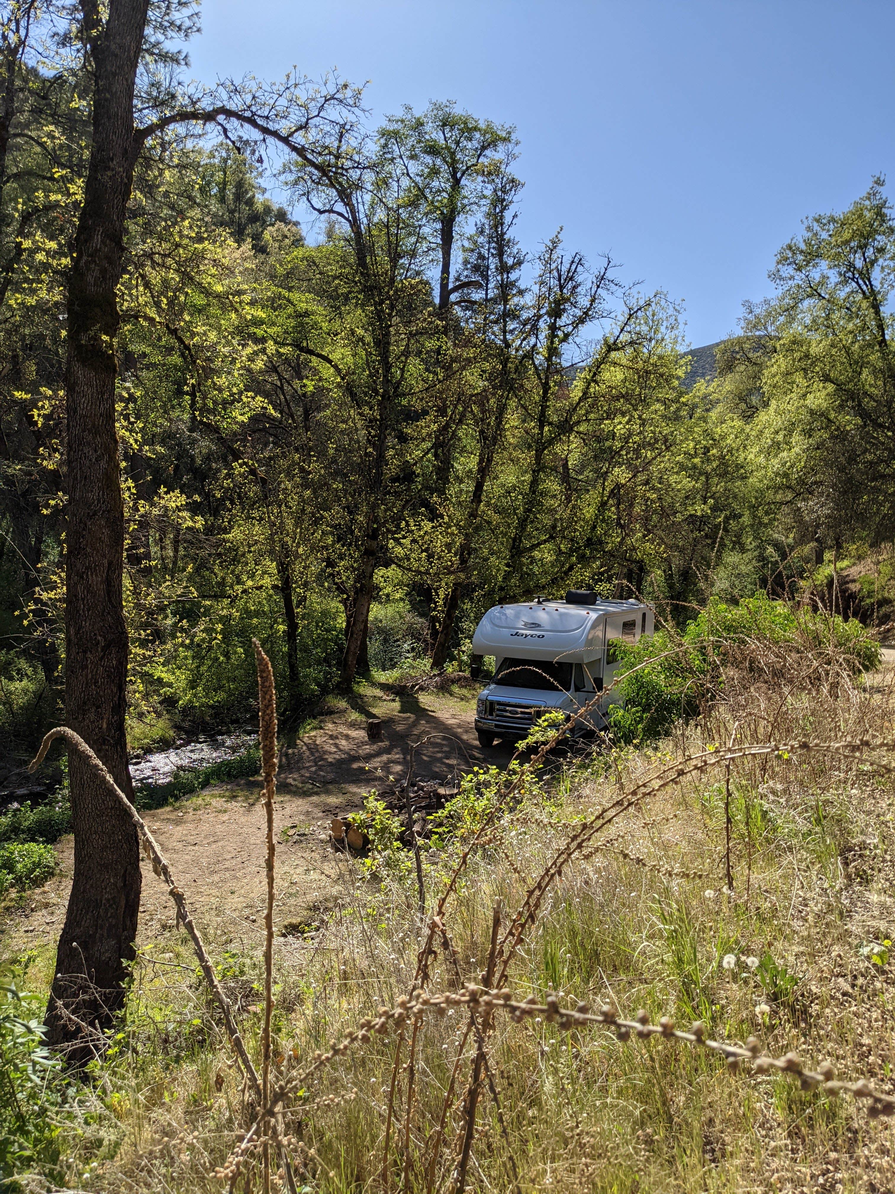 Camper submitted image from Cline Gulch BLM Dispersed - 3