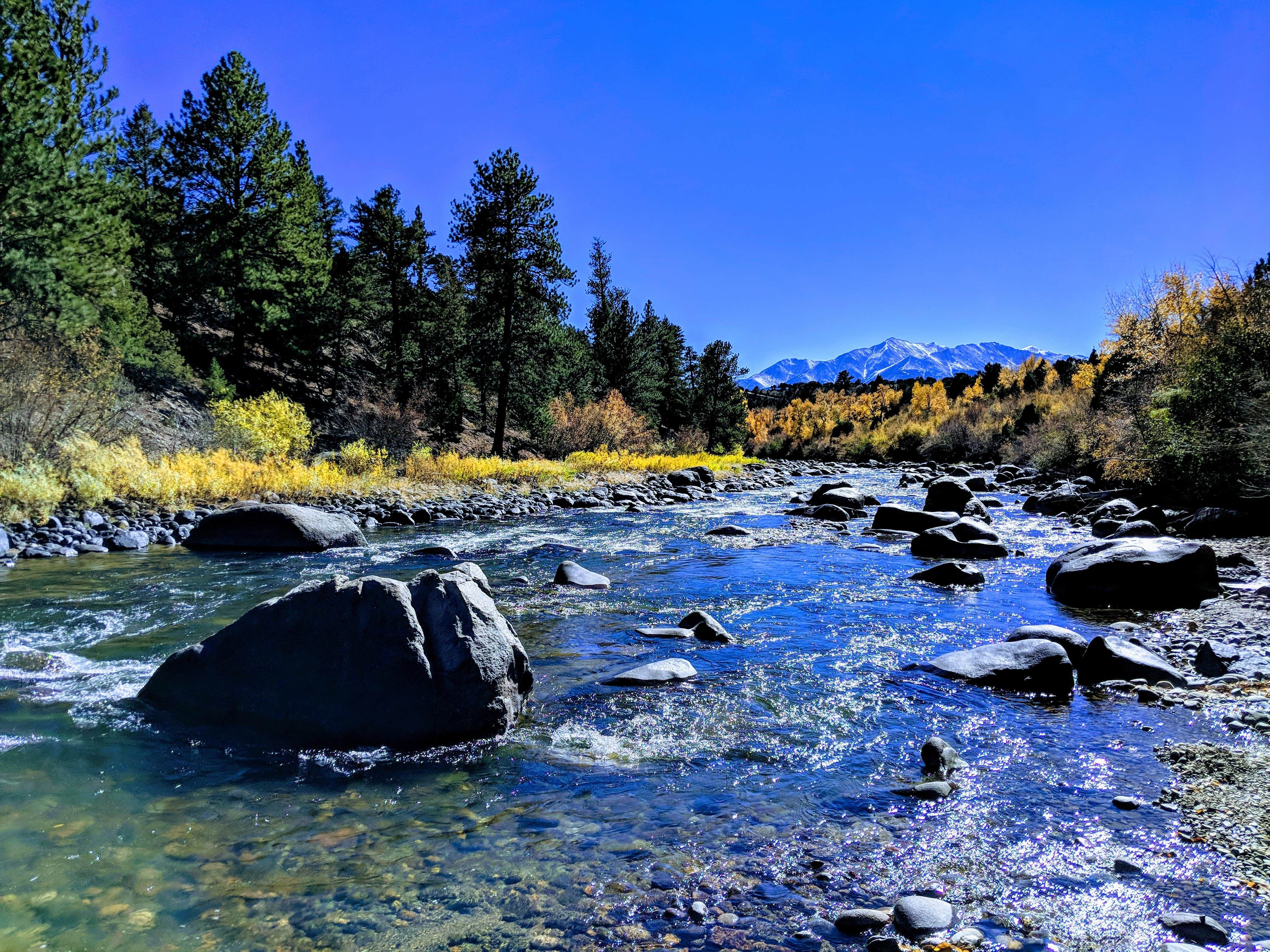 Camper submitted image from Arkansas River Rim Campground - 5