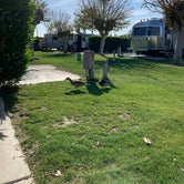 Review photo of Shadow Hills RV Resort by James W., April 21, 2021