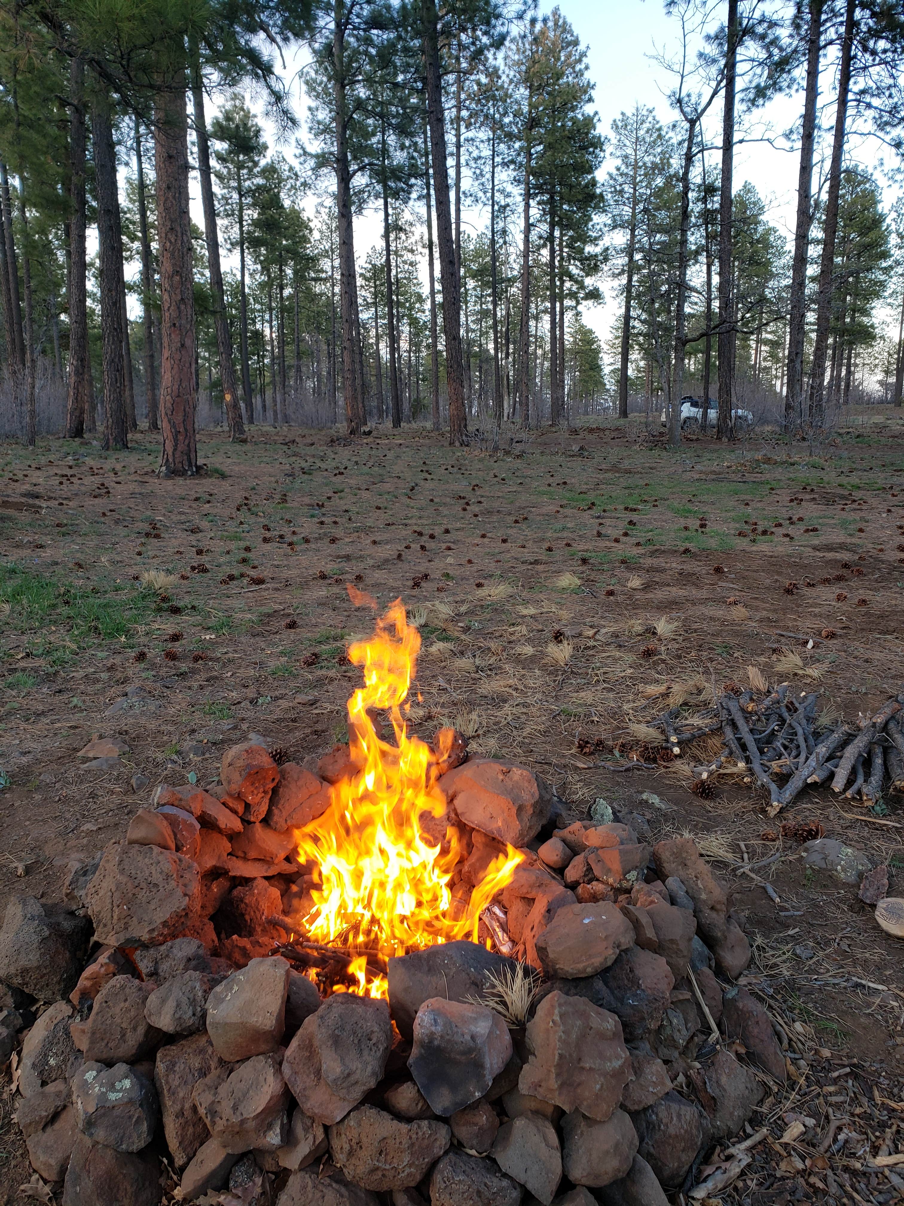 Camper submitted image from Cocino National Forest - Rd. 535 - 1