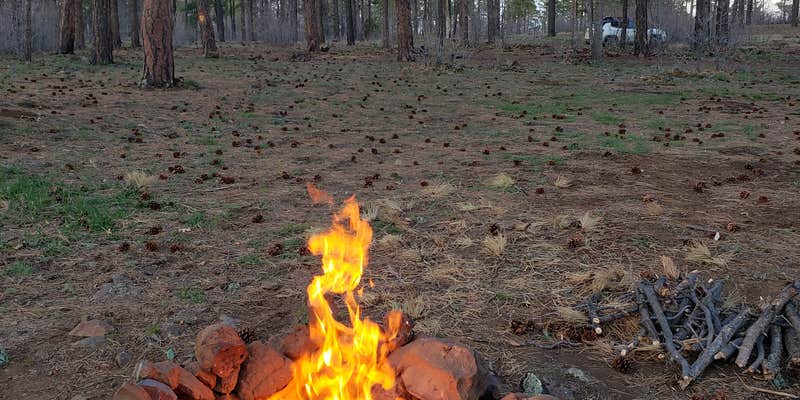 Camper submitted image from Cocino National Forest - Rd. 535