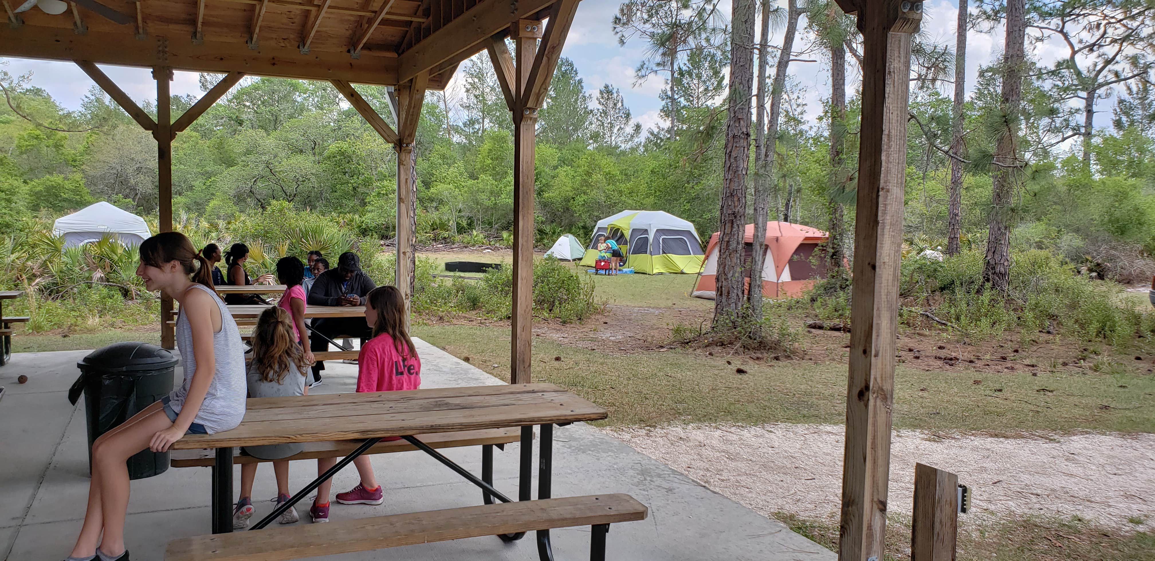 Camper submitted image from Geneva Wilderness Area - 2