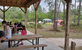 Jeanene A.'s photo at Geneva Wilderness Area near Rockledge, FL