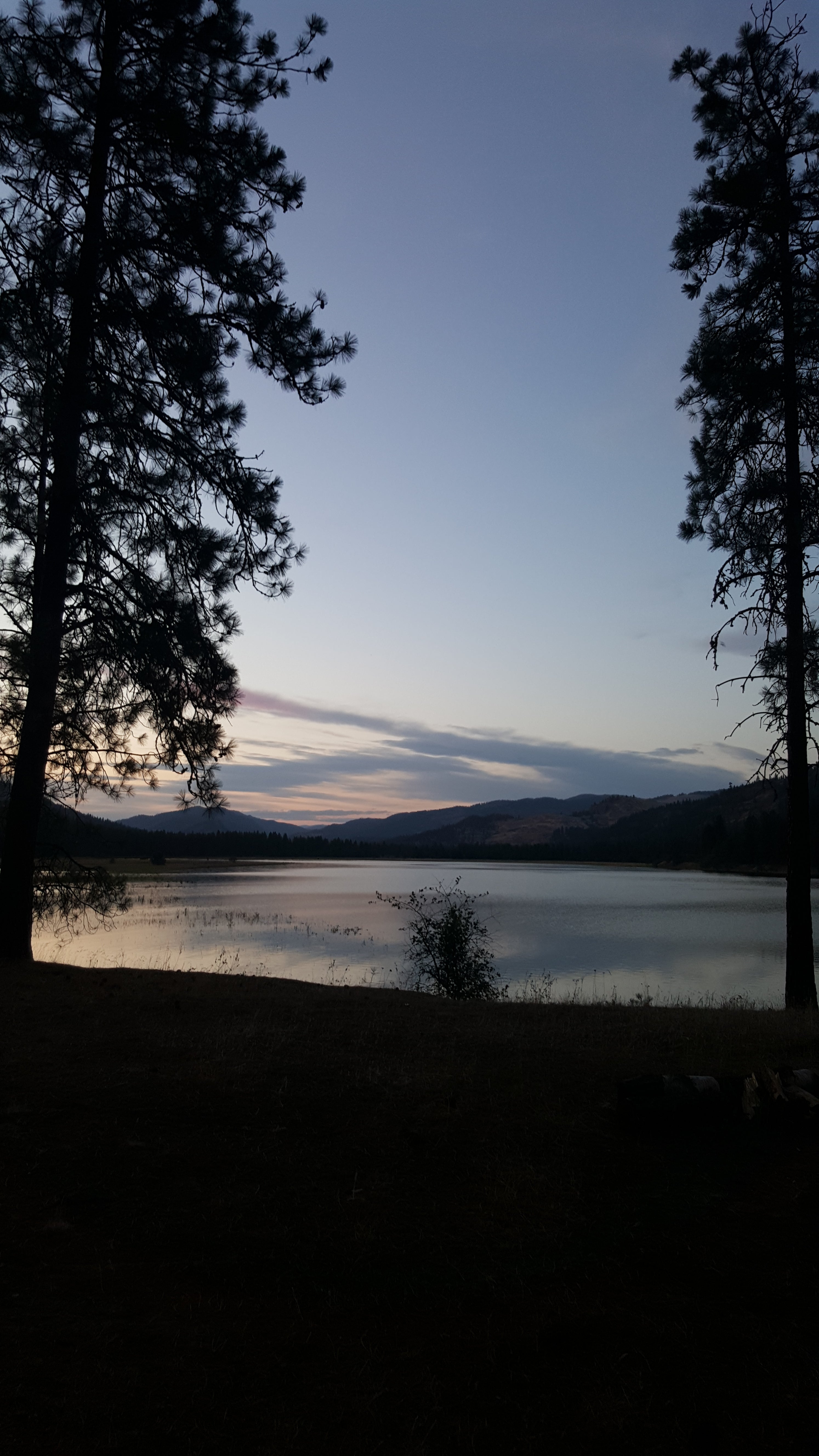 Camper submitted image from Kamloops Campground — Lake Roosevelt National Recreation Area - 3