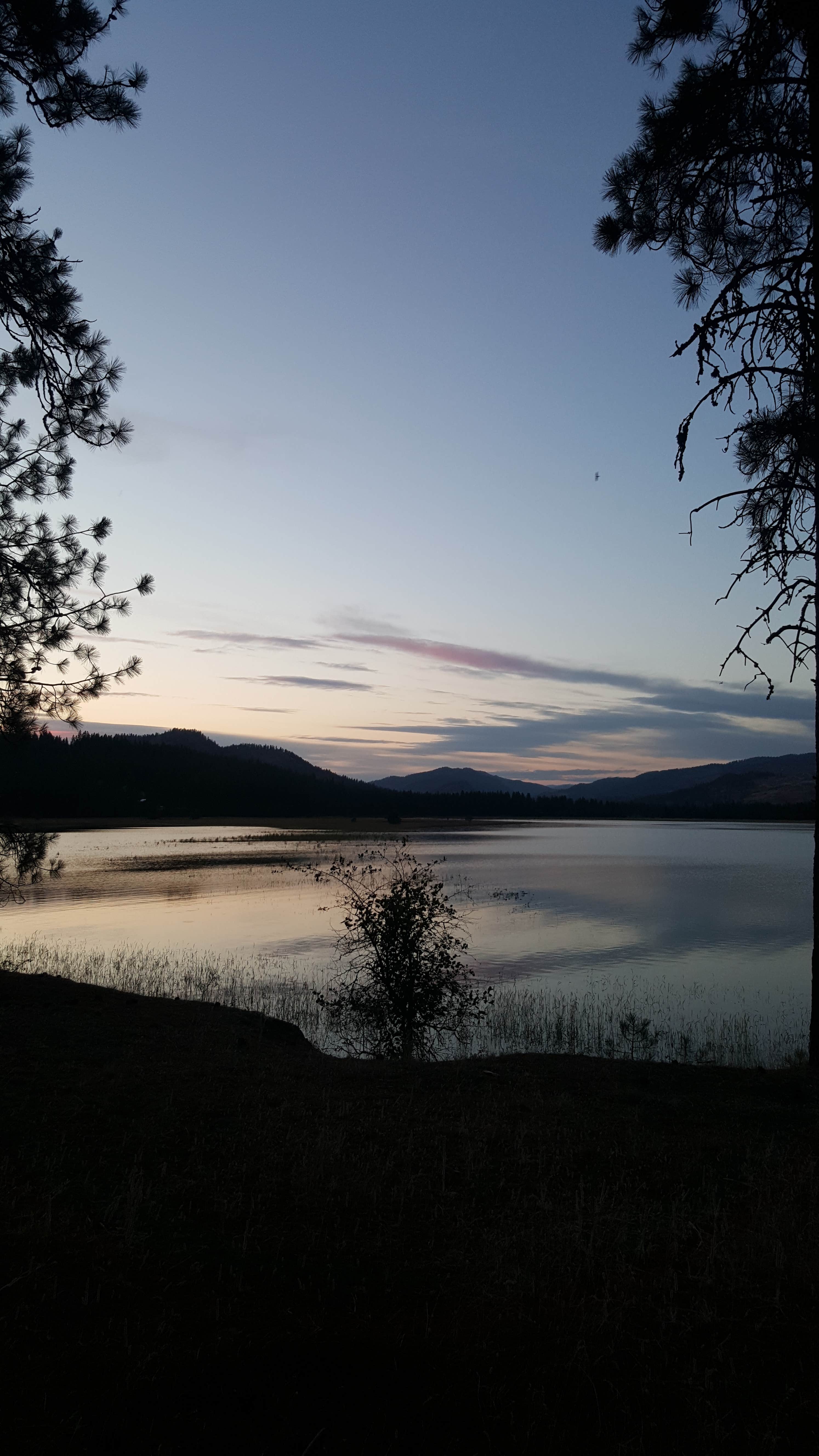 Camper submitted image from Kamloops Campground — Lake Roosevelt National Recreation Area - 4