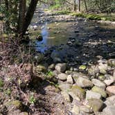 Review photo of Greenbrier Campground by Erica F., April 21, 2021