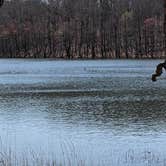 Review photo of Fall Creek Falls State Park Campground by Kari C., April 21, 2021