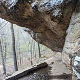 Review photo of Redbud Campground at Bell Smith Springs by Kari C., April 21, 2021