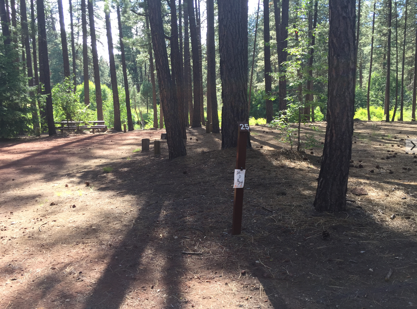 Camper submitted image from Allingham Campground - 2