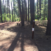 Review photo of Allingham Campground by Kayko S., July 14, 2016
