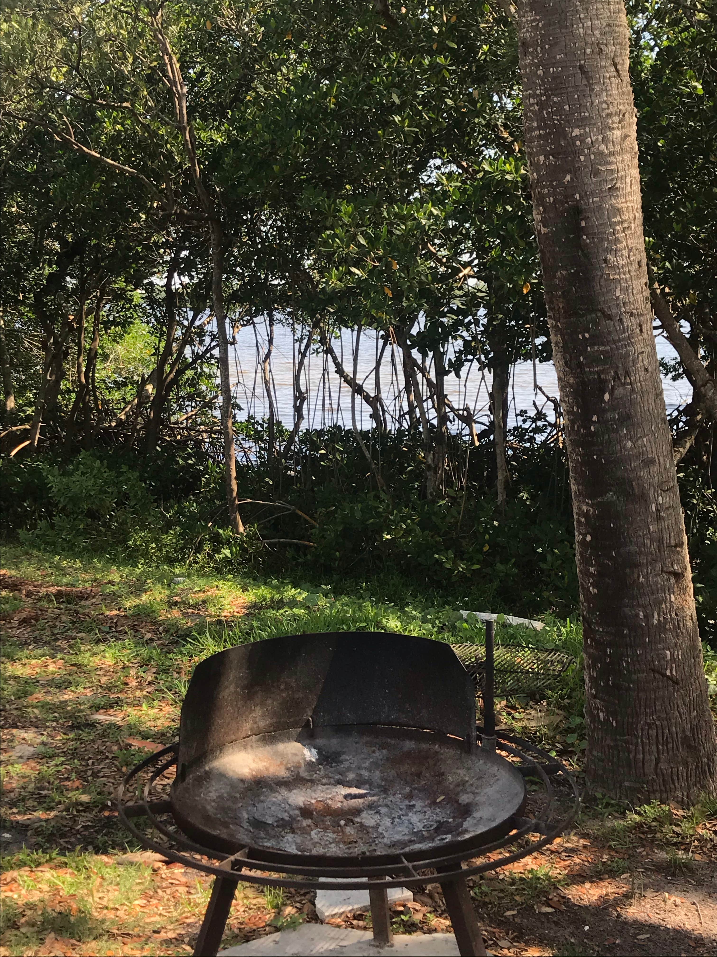 Lawrence Robert T.'s photo at St. Petersburg-Madeira Beach KOA Holiday near Seminole, FL