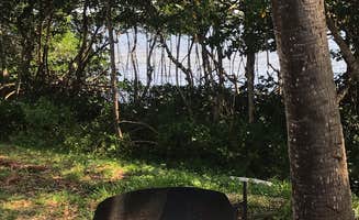 Lawrence Robert T.'s photo at St. Petersburg-Madeira Beach KOA Holiday near Oldsmar, FL