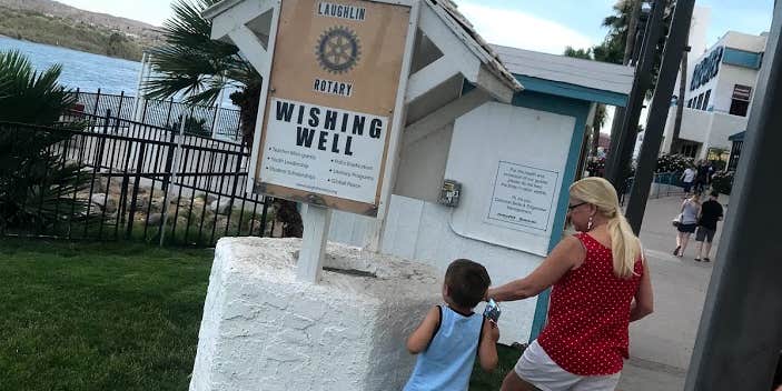 Camper submitted image from Colorado River Oasis RV Resort