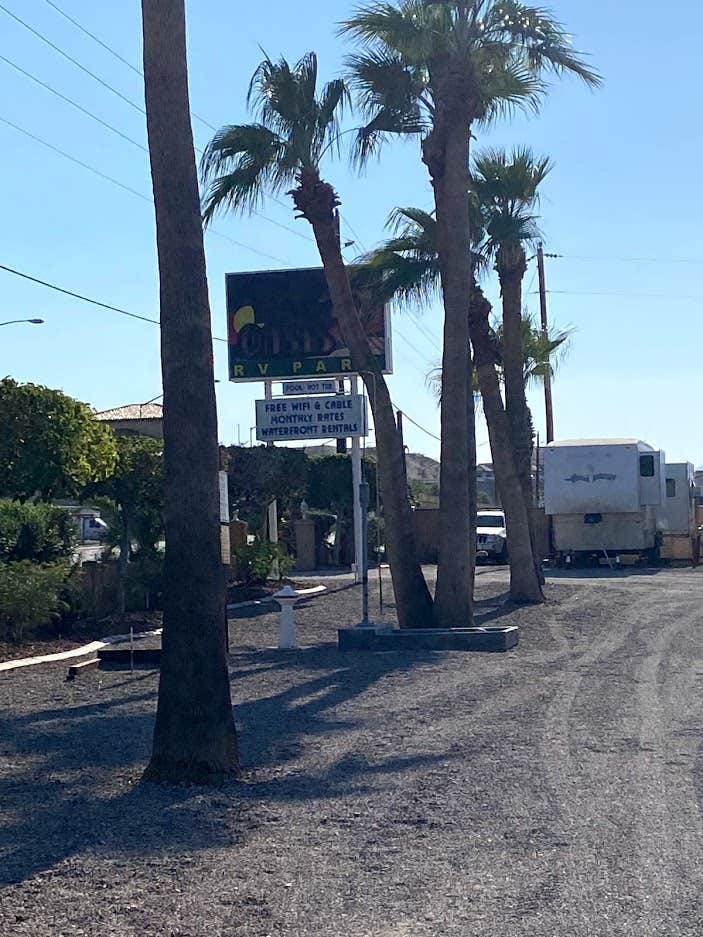 Camper submitted image from Colorado River Oasis RV Resort - 3