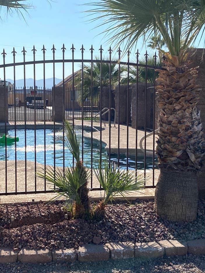 Camper submitted image from Colorado River Oasis RV Resort - 2