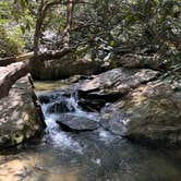 Review photo of Keowee-Toxaway State Park by Marissa H., April 21, 2021