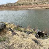 Review photo of James M. Robb Colorado River — Island Acres Section Camping by Jeff N., April 21, 2021