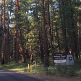 Review photo of Allingham Campground by Kayko S., July 14, 2016