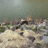 Review photo of Island Acres Section Camping — James M. Robb Colorado River State Park by Jeff N., April 21, 2021