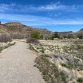 Review photo of Island Acres Section Camping — James M. Robb Colorado River State Park by Jeff N., April 21, 2021