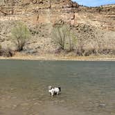 Review photo of Island Acres Section Camping — James M. Robb Colorado River State Park by Jeff N., April 21, 2021