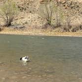 Review photo of Island Acres Section Camping — James M. Robb Colorado River State Park by Jeff N., April 21, 2021