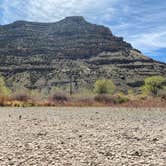 Review photo of Island Acres Section Camping — James M. Robb Colorado River State Park by Jeff N., April 21, 2021