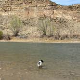 Review photo of Island Acres Section Camping — James M. Robb Colorado River State Park by Jeff N., April 21, 2021